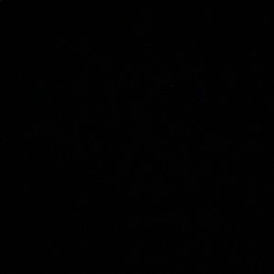 Meet your Posher, Mya